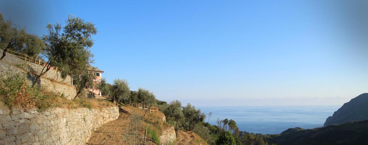 Agriturismo Missanega Monterosso al Mare Kültér fotó